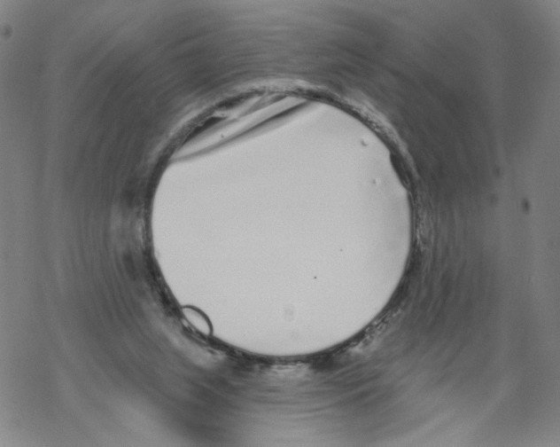 X0000067900063200605111928