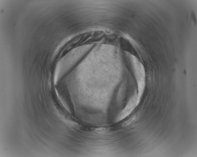 X0000067900064200605111928