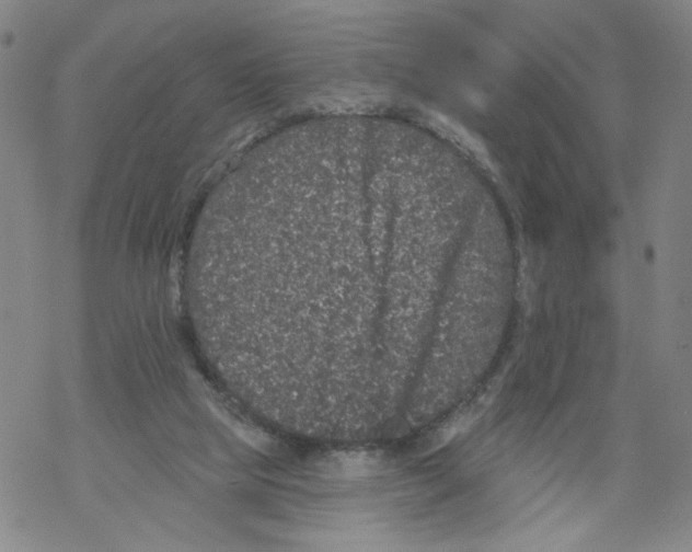 X0000067900065200605111928