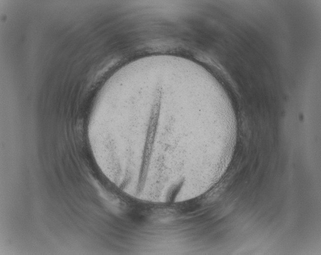 X0000067900066200605111928