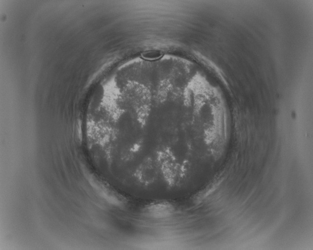 X0000067900067200605111928