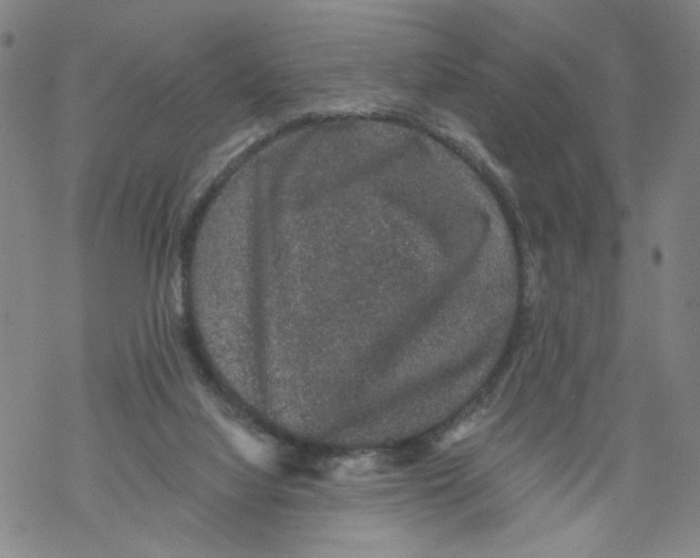 X0000067900068200605111928