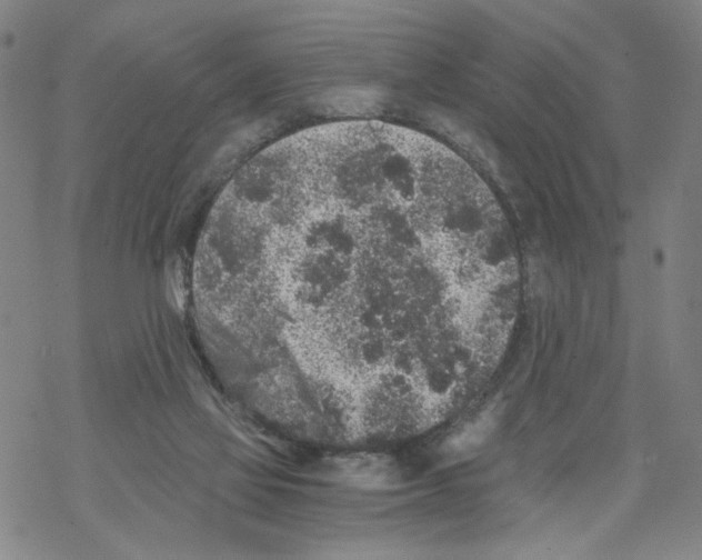 X0000067900069200605111928