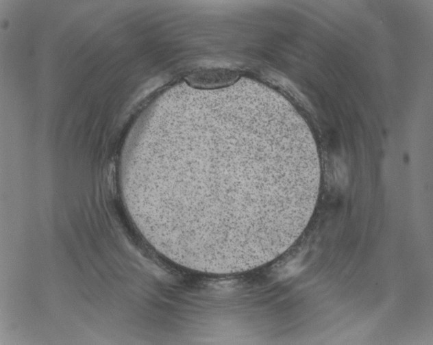 X0000067900071200605111928