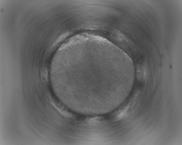 X0000067900072200605111928