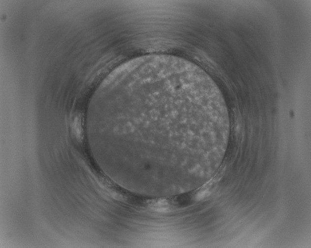 X0000067900074200605111928