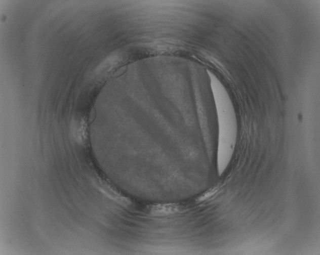 X0000067900077200605111928