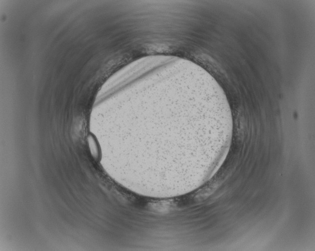 X0000067900079200605111928