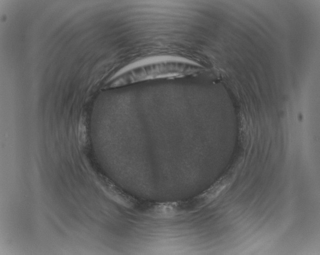 X0000067900080200605111928