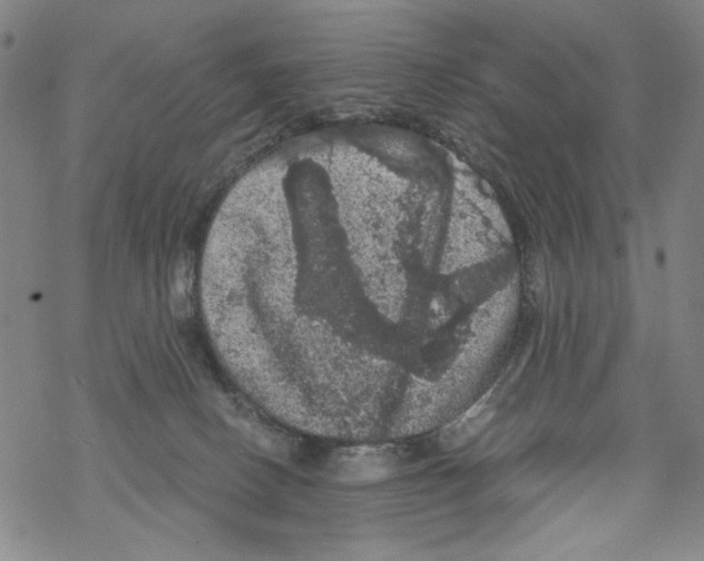 X0000067900082200605111928