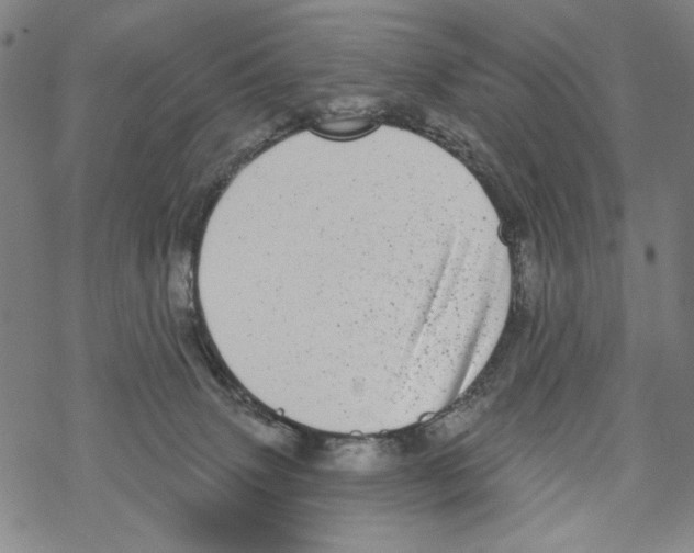 X0000067900083200605111928