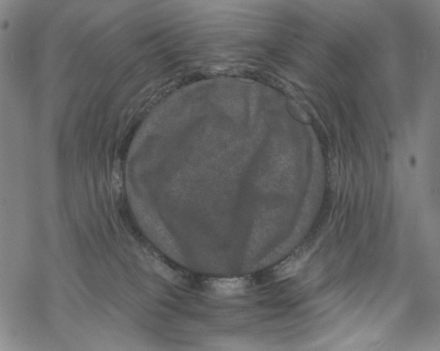 X0000067900085200605111928