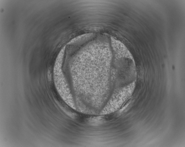 X0000067900086200605111928