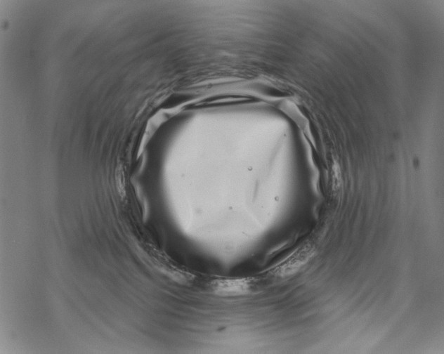 X0000067900088200605111928