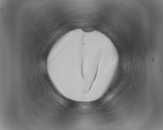 X0000067900089200605111928