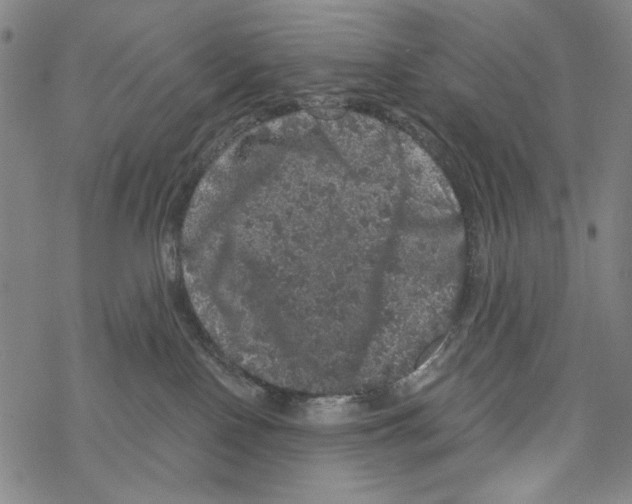 X0000067900090200605111928