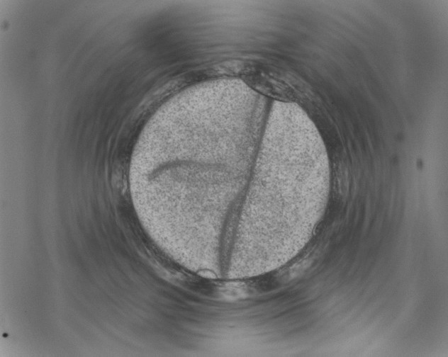 X0000067900091200605111928