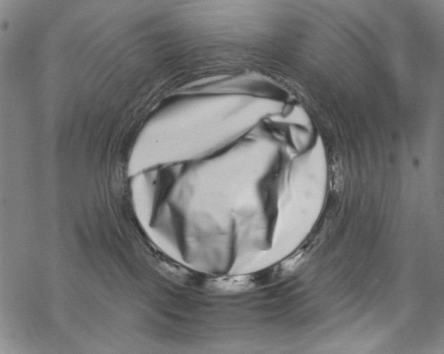 X0000067900093200605111928