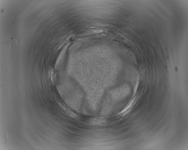 X0000067900094200605111928