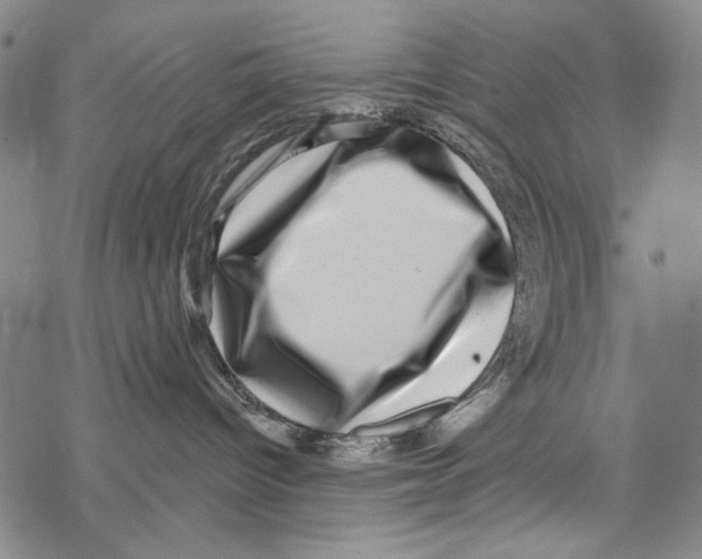 X0000067900096200605111928