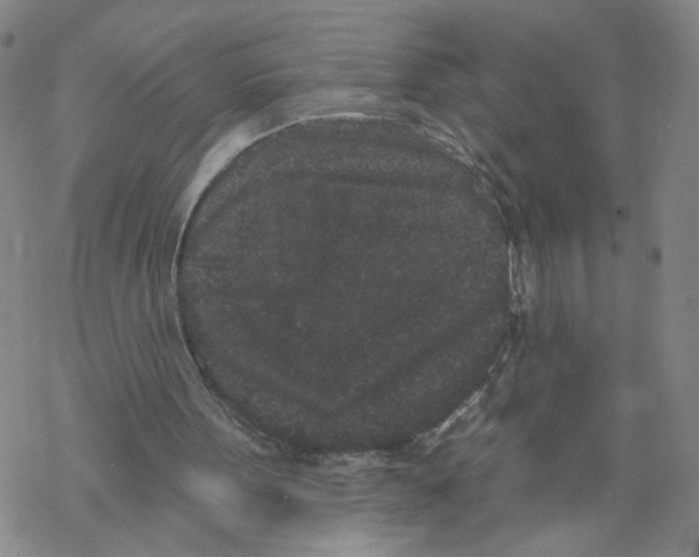 X0000067900099200605111927