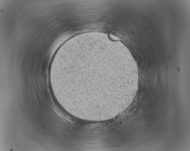 X0000067900100200605111927