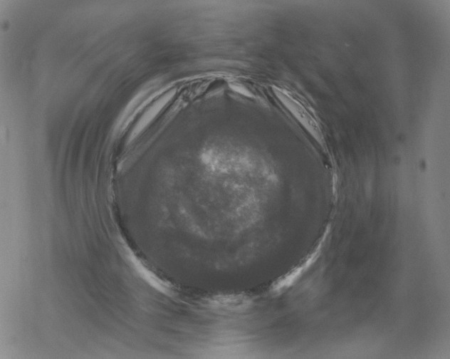 X0000067900101200605111927