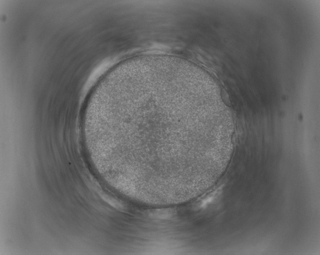 X0000067900102200605111927