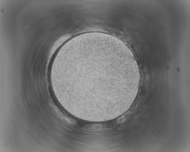 X0000067900104200605111927