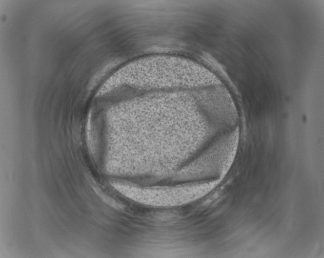 X0000067900106200605111927