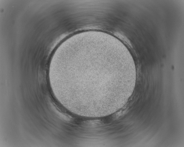 X0000067900108200605111927