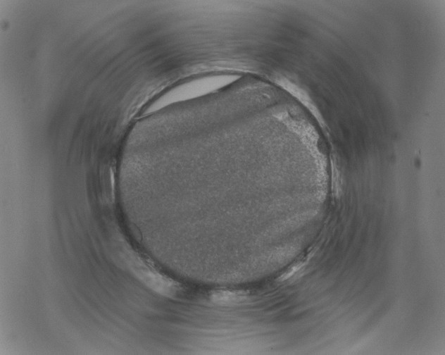 X0000067900109200605111927