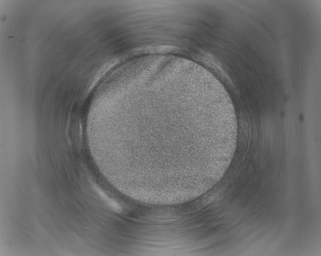 X0000067900110200605111927