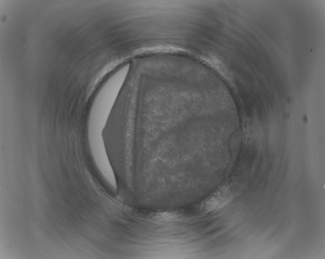 X0000067900111200605111927