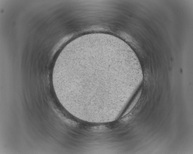 X0000067900112200605111927