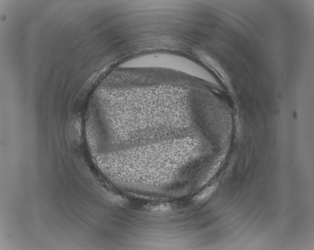 X0000067900113200605111927