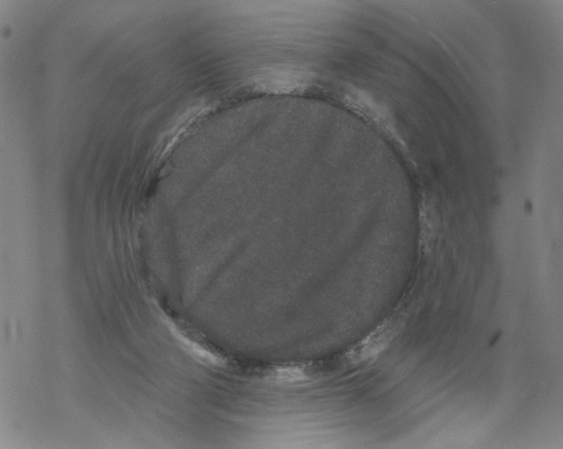 X0000067900114200605111927