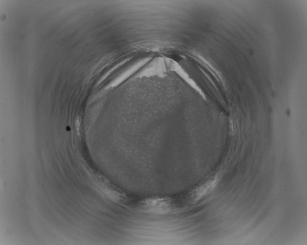 X0000067900117200605111927