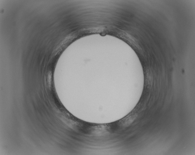 X0000067900118200605111927