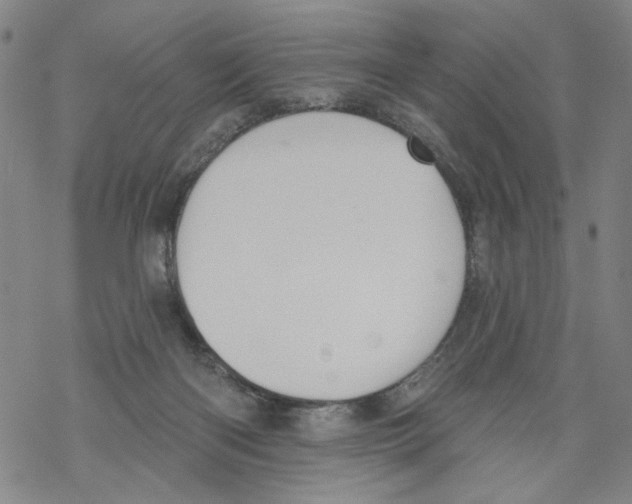 X0000067900122200605111927