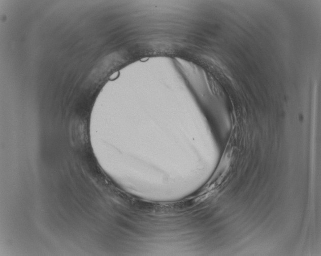 X0000067900123200605111927