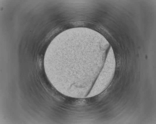 X0000067900124200605111927