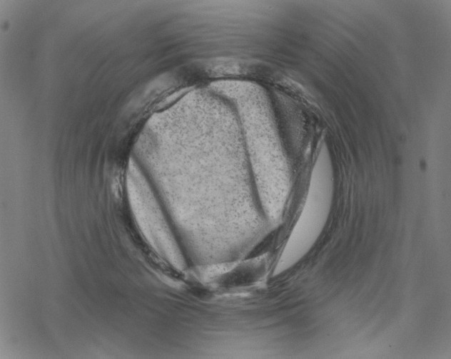 X0000067900125200605111927