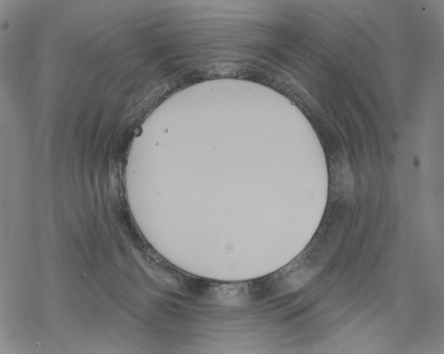 X0000067900126200605111927