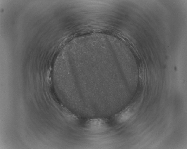 X0000067900127200605111927