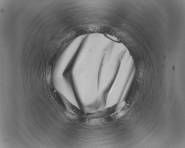 X0000067900129200605111927