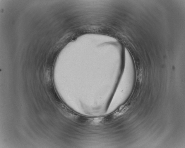 X0000067900131200605111927