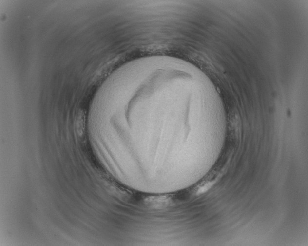 X0000067900133200605111927