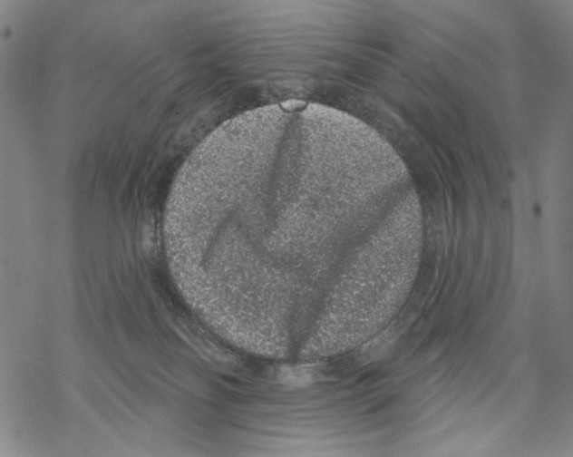 X0000067900134200605111927