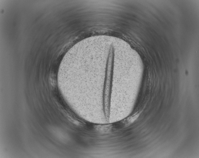 X0000067900135200605111927